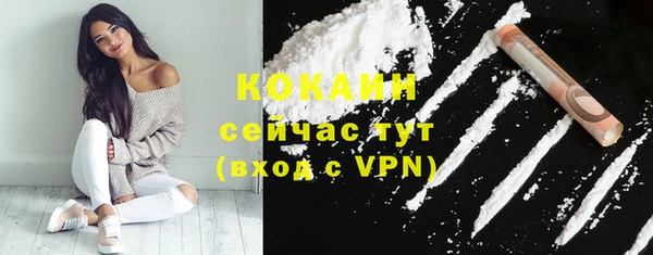 сатива Балахна
