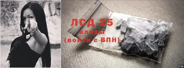 прущие грибы Баксан