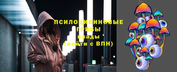 сатива Балахна