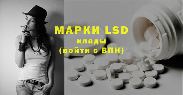 прущие грибы Баксан