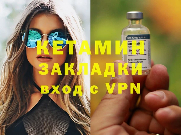 сатива Балахна