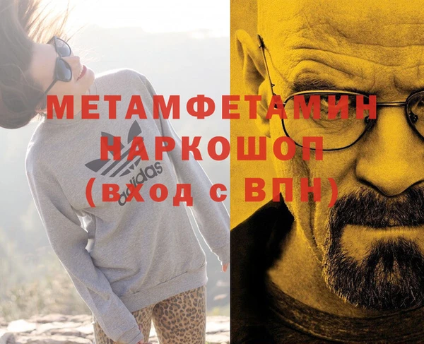 сатива Балахна