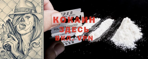 прущие грибы Баксан